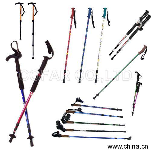 Walking Stick