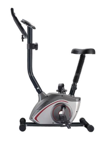 magneticbike