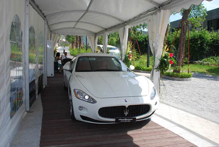 luxurious personal PVC carport canopy