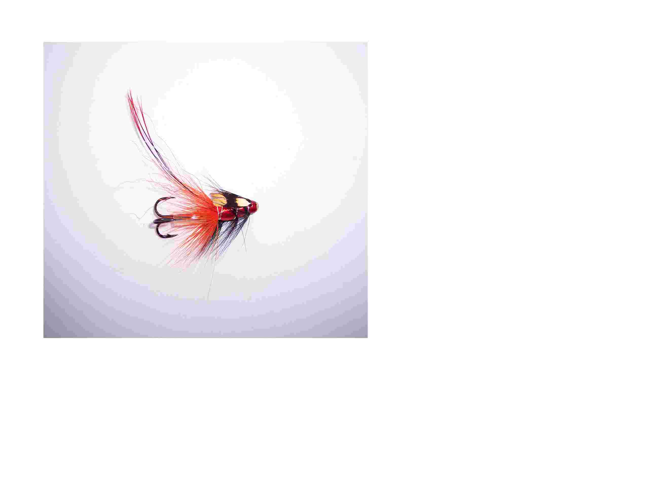 Kenya Salmon Flies
