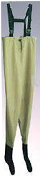 Hong Kong Wader