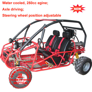 China (Mainland) Go Kart WZGC2502