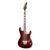 Electric Guitar (China (Mainland))