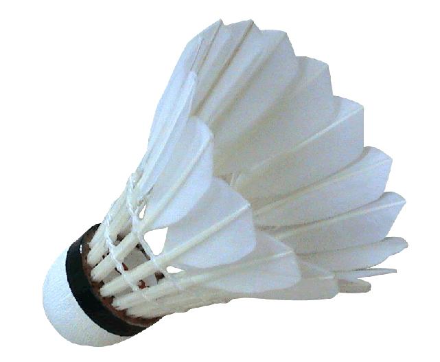 India Shuttle Cock