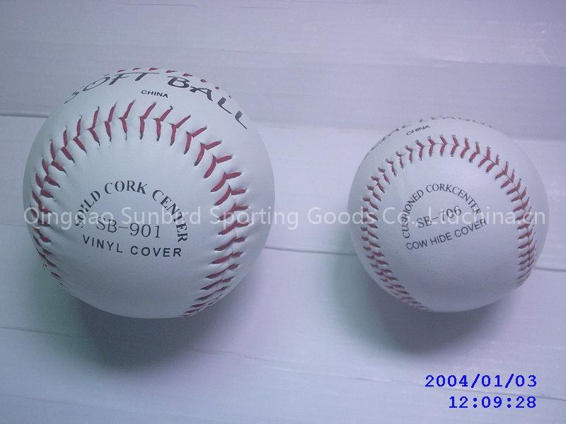 Sunbird baseball