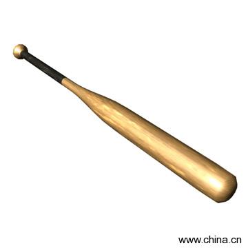 Baseball Bat
