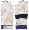 Pakistan Baseballs & Gloves