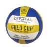 Volleyball (Vietnam)