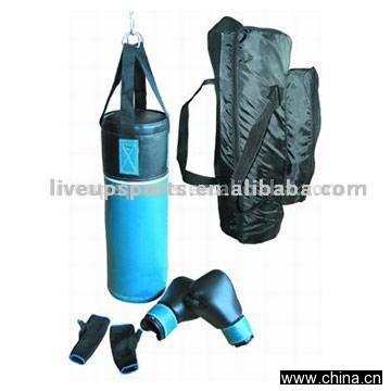 Fitness Boxing Set