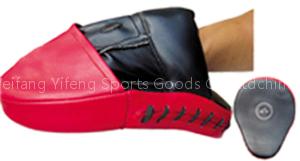 focus mitts
