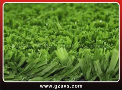 soccer grass