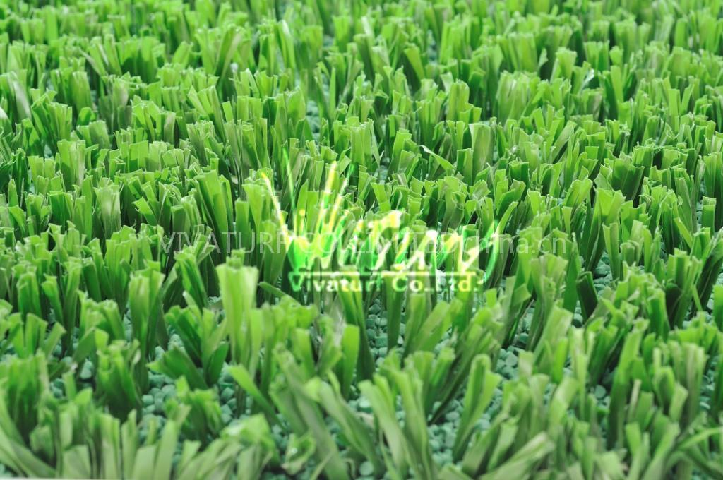 Soccer grass-S50252