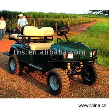 Gas Golf Cart