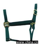 Horse Halter