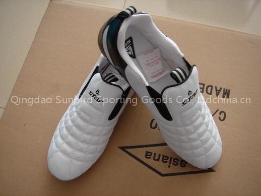 Sunbird taekwondo shoes
