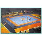TKD mat