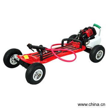 Skateboard YG-012E
