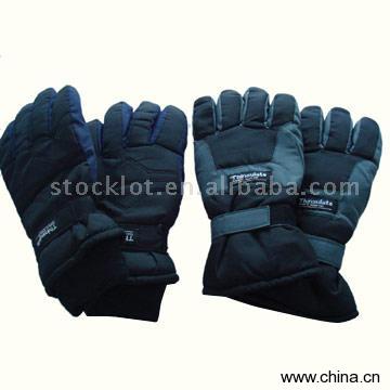 Stock Ski Gloves