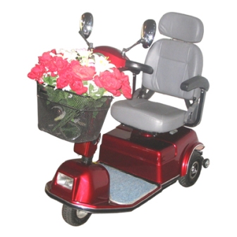 Netherlands Electric Mobility Scooter