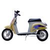 Electric Scooter (China (Mainland))