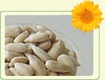 Thailand Chocolate Coated Sunflower Kernels