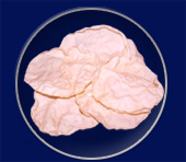 India Appalam(Also Called Popadoms&Pappads)