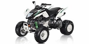 2010 Arctic Cat 300 DVX