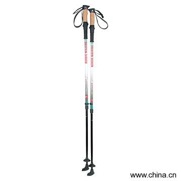 Walking Stick