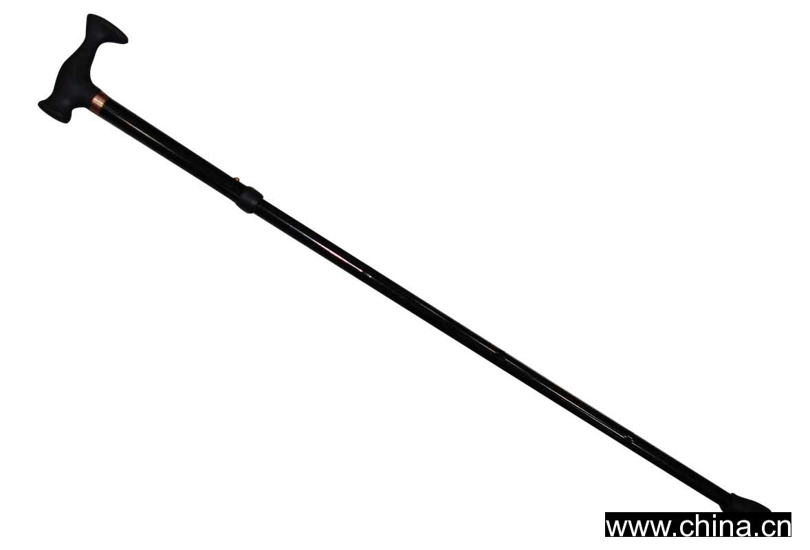 Walking Stick
