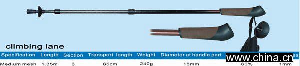 Carbon Hiking Stick