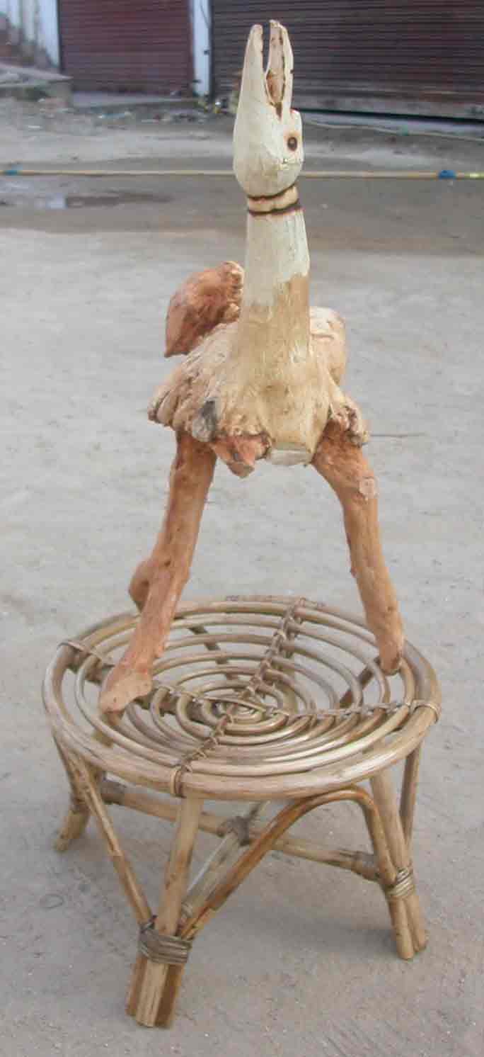 India Root Art
