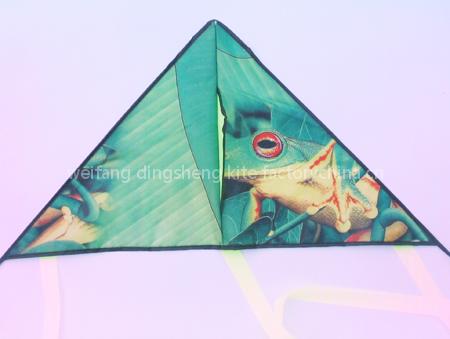 delta kite