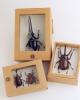 Hand Made Imitation Insect Sculpture (China (Mainland))