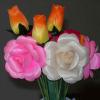 Flower Foam (China (Mainland))