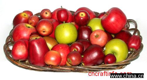 Artificial Fruit