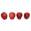 Artificial Fruits (China (Mainland))