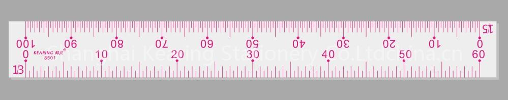 scale ruler/ruler with scales