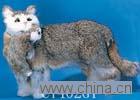 Animal Dolls, birthday gift, Fur Animal craft