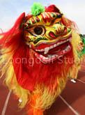 North Lion