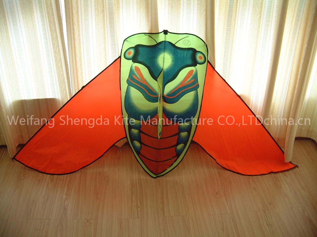 Bamboo Folk custom kite