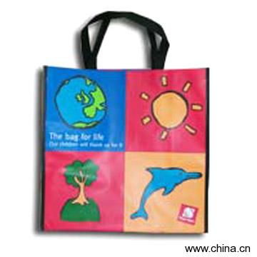 PP Woven Shopping Bag