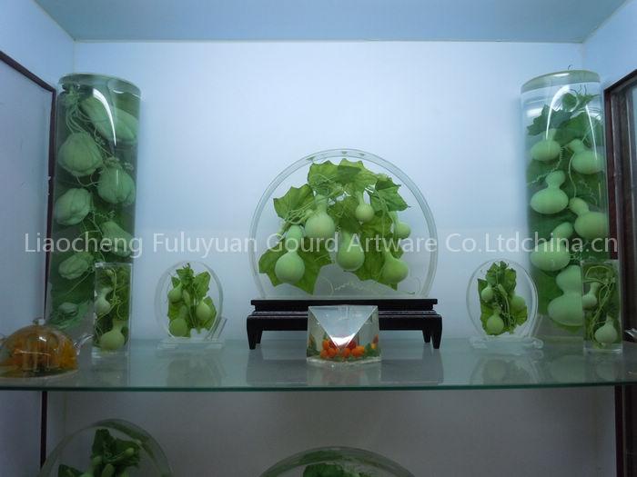 frsh gourd crystal craft