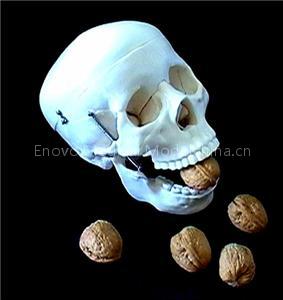 Hallowmas Budget Bucky Skeleton
