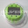 Decorative solar light