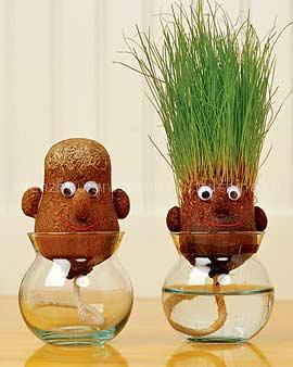 grass head