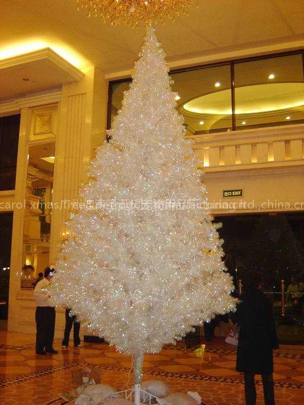 5m Green Christmas Tree