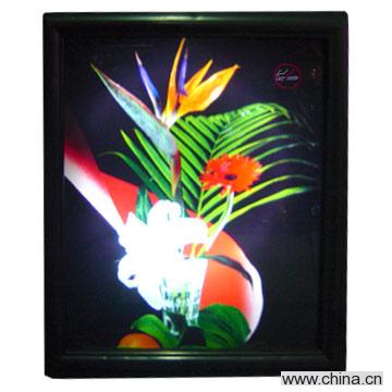 Wall Hanging Picture