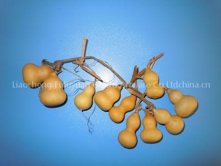 gourd craft ,natural gourd