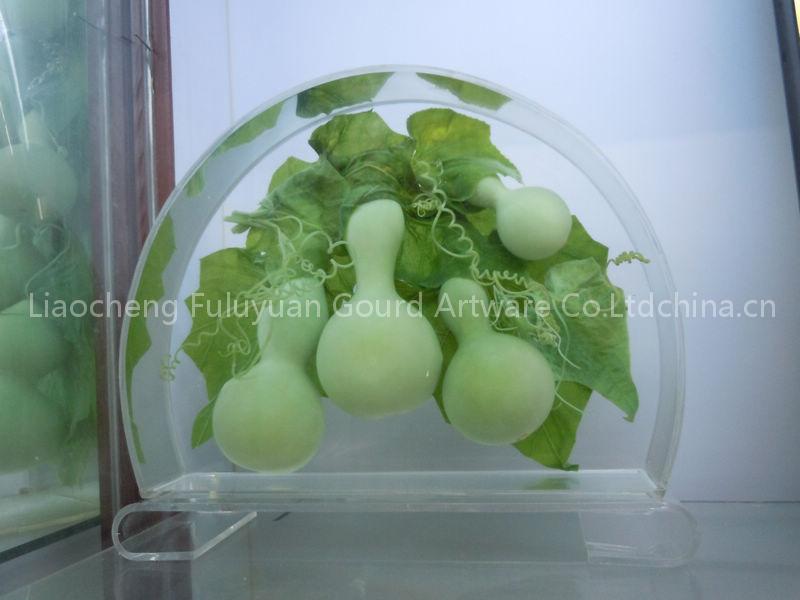 insure fresh gourd crystal craft