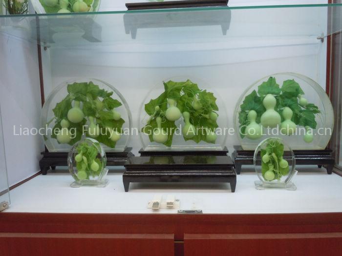 fresh gourds crastal craft